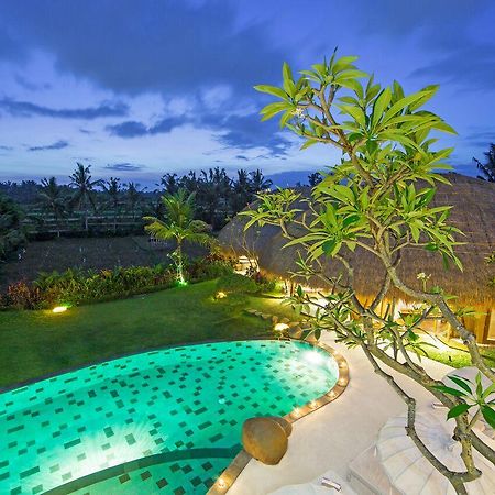 Villa Omah Padi Ubud Kültér fotó